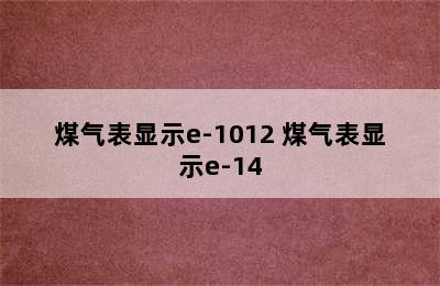 煤气表显示e-1012 煤气表显示e-14